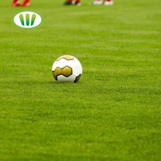Futbol maydonidagi 50mm yuqori sun'iy çim