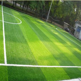 Fake Turf Grass